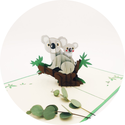 categorie-animaux